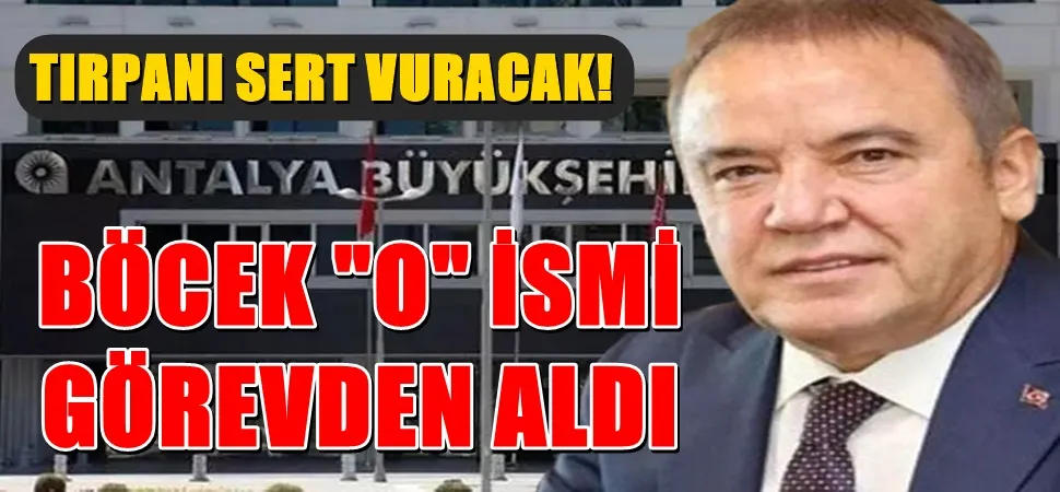 MUHİTTİN  BÖCEK 