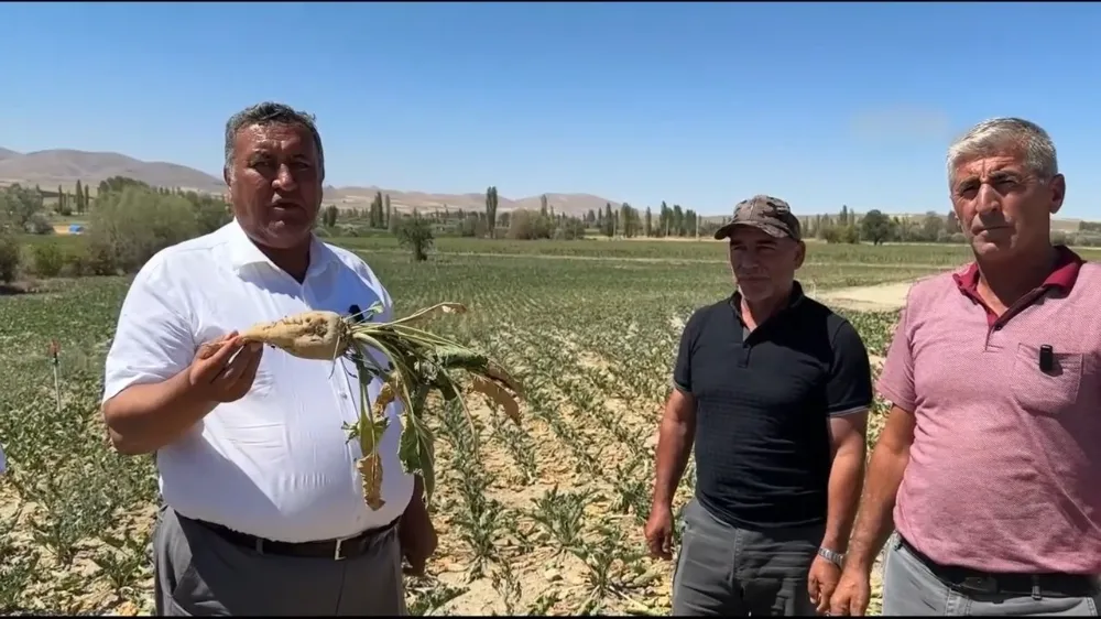CHP