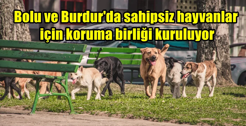 Bolu ve Burdur