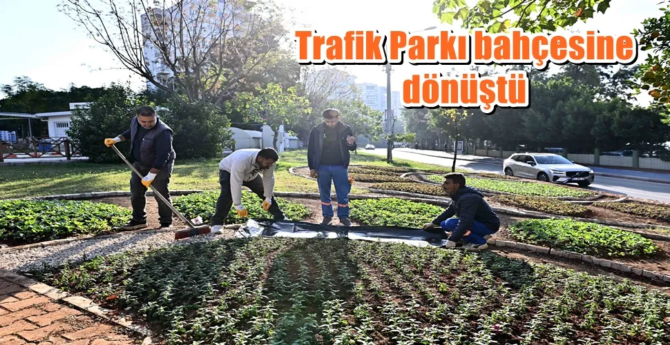 Trafik Parkı çiçek bahçesine dönüştü