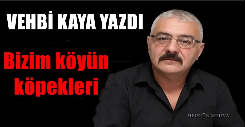  Bizim köyün köpekleri