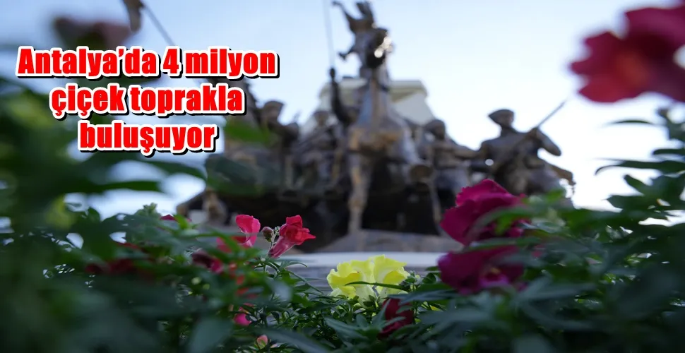 Antalya’da 4 milyon çiçek toprakla buluşuyor