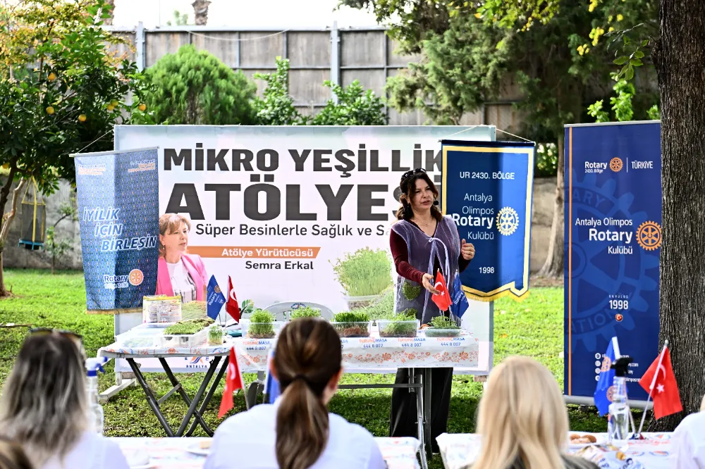 Mikro yeşilliklerle minyatür bahçeler oluşturdular