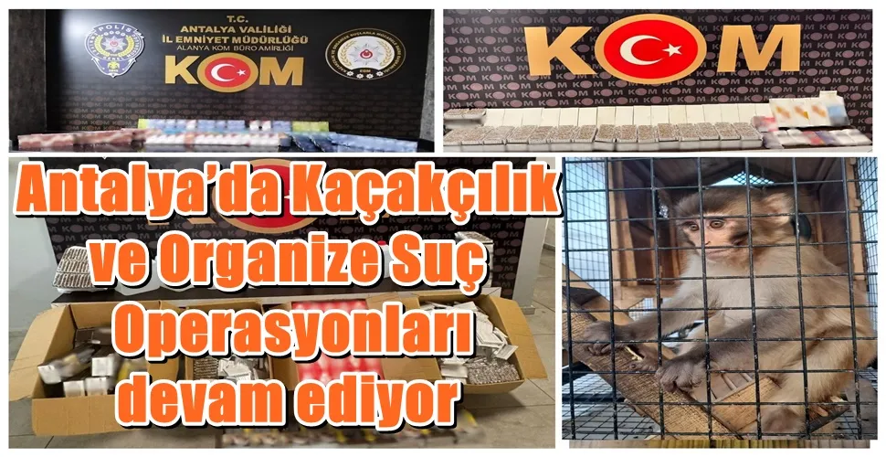 Antalya’da Kaçakçılık ve Organize Suç Operasyonları devam ediyor