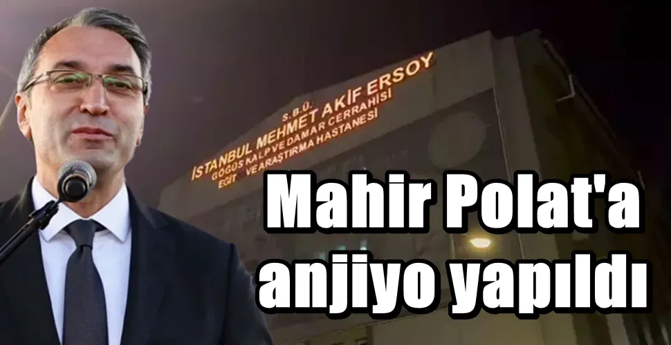 Tutuklu Mahir Polat