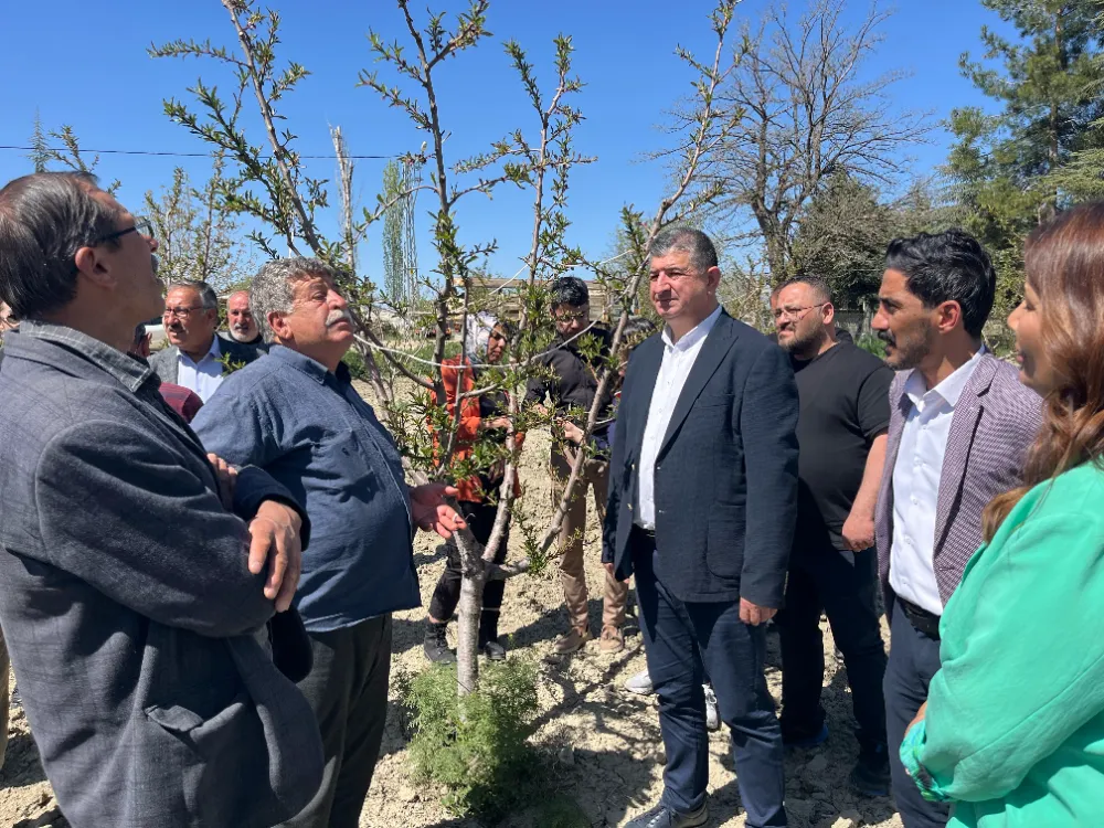 CHP’Lİ CAVİT ARI “ZİRAİ DON AFET SAYILIP, MİLLİ MESELE OLARAK ELE ALINMALI