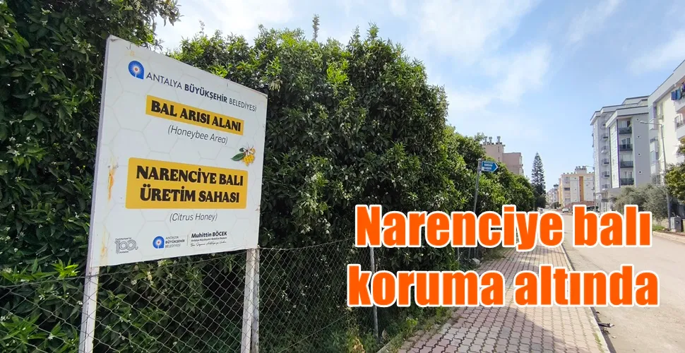 Narenciye balı koruma altında