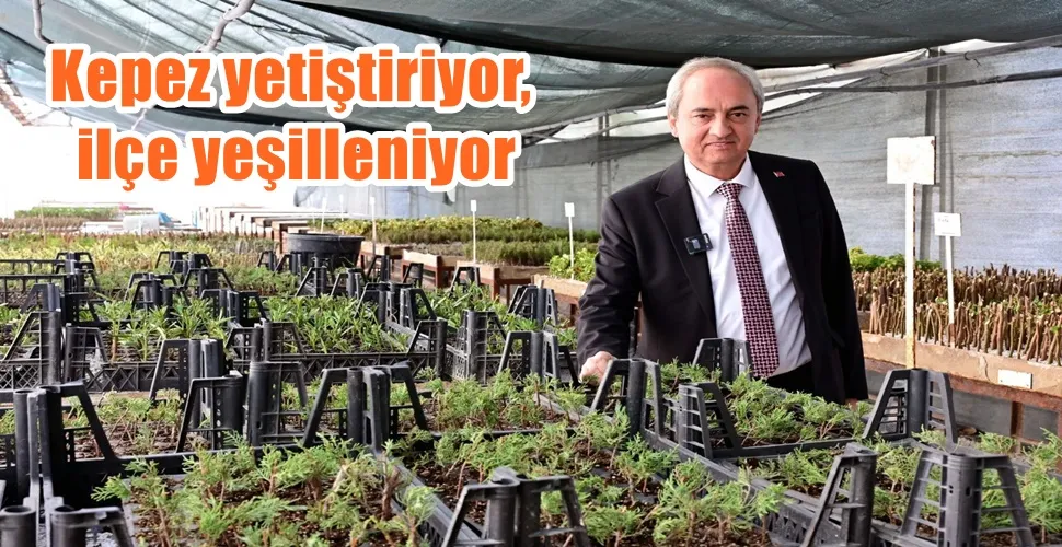 Kepez yetiştiriyor, ilçe yeşilleniyor
