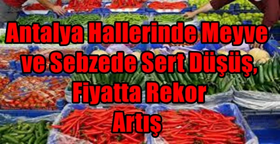 Antalya Hallerinde Meyve ve Sebzede Sert Düşüş, Fiyatta Rekor Artış