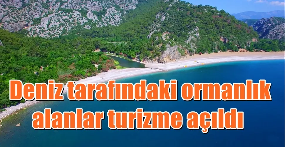 Kıyı kenar çizgisinin deniz tarafındaki ormanlık alanlar turizme açıldı