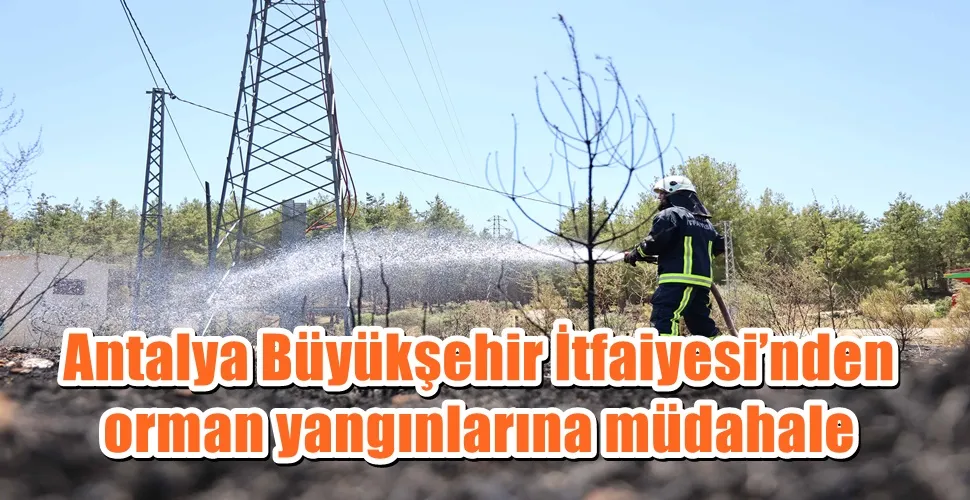 Antalya Büyükşehir İtfaiyesi’nden orman yangınlarına müdahale 