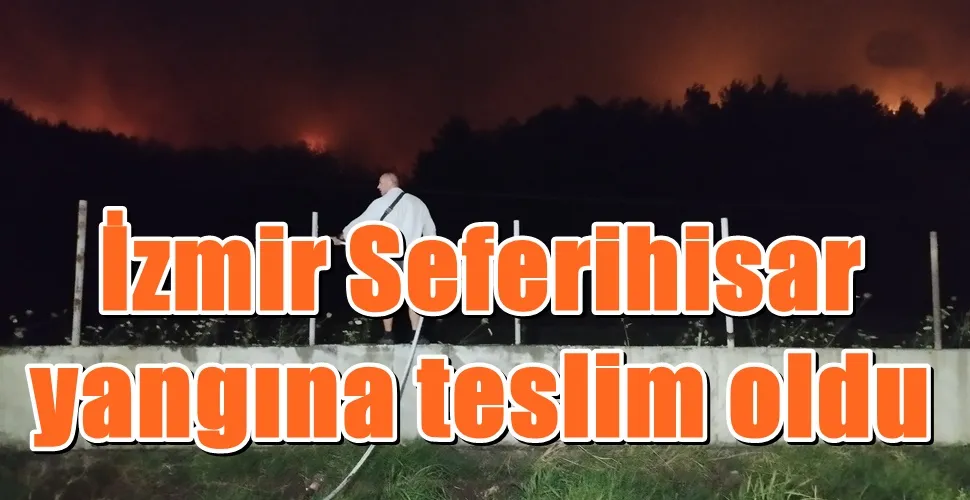 İzmir Seferihisar  yangına teslim oldu