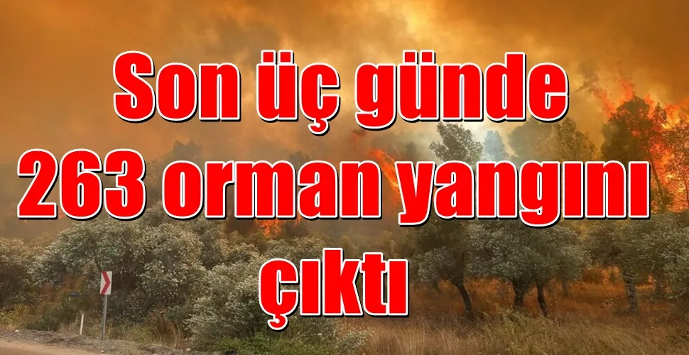  Son üç günde  263 orman yangını  çıktı