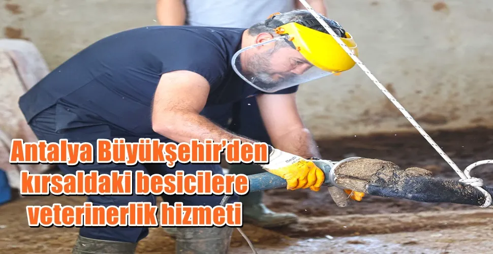   Antalya Büyükşehir’den kırsaldaki besicilere veterinerlik hizmeti