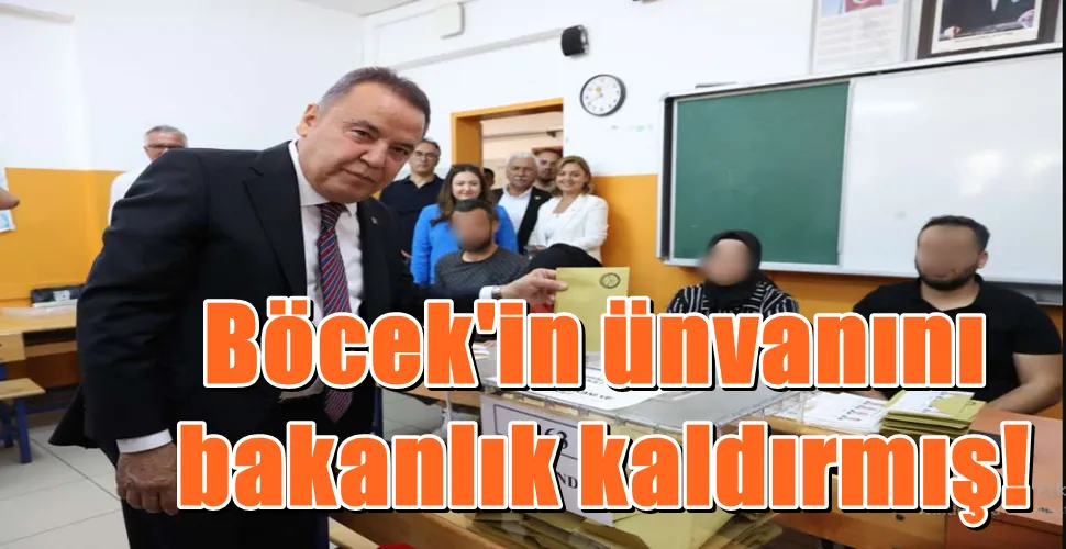 Böcek
