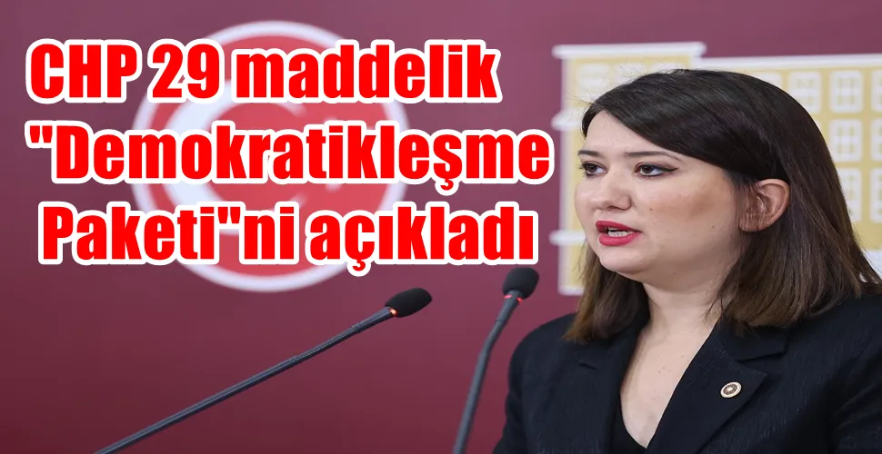 CHP 29 maddelik 