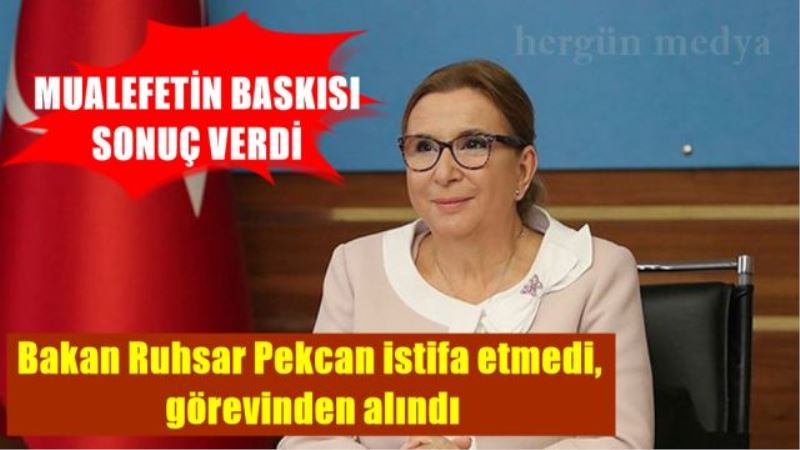 Bakan Ruhsar Pekcan istifa etmedi,  görevinden alındı