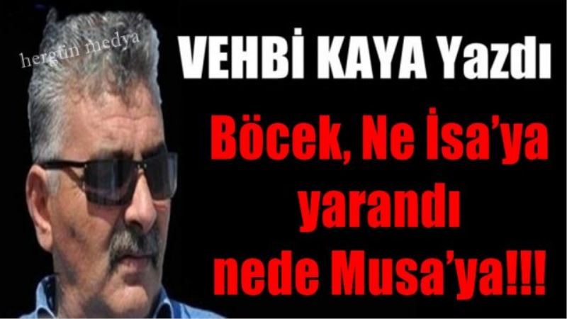 Böcek, Ne İsa’ya  yarandı  nede Musa’ya!!!