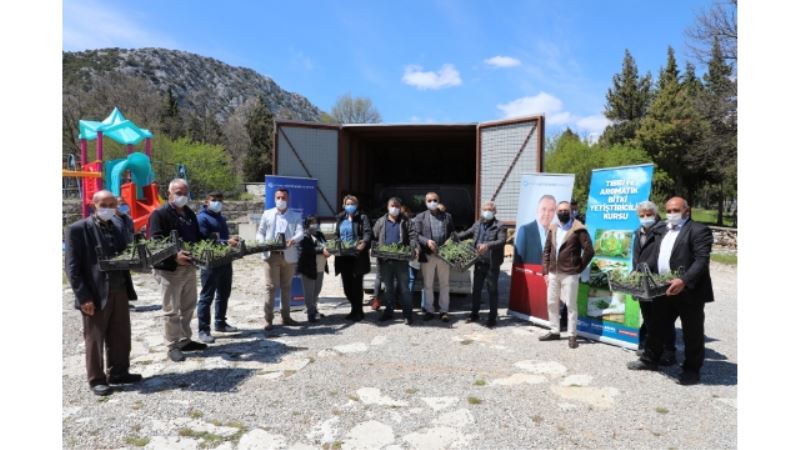 İbradı tıbbi aromatik bitkilerin merkezi olacak
