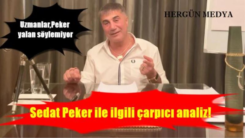 Uzmanlardan Sedat Peker ile ilgili çarpıcı analiz!