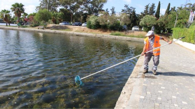 Antalya  Büyükşehir Titreyengöl’de temizlik yaptı