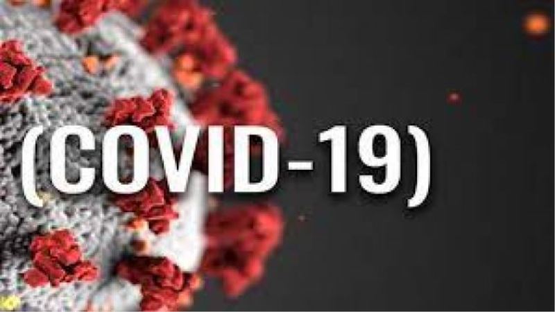 DSÖ: Bu yıl 1 milyon insan Covid-19’dan öldü