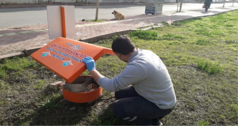 Konyaaltı’nda can dostlar unutulmuyor